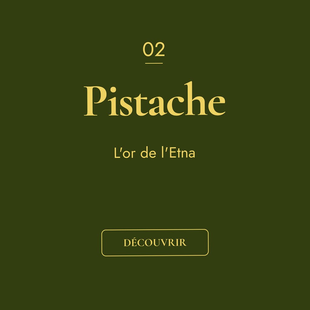 Pistache tecxe