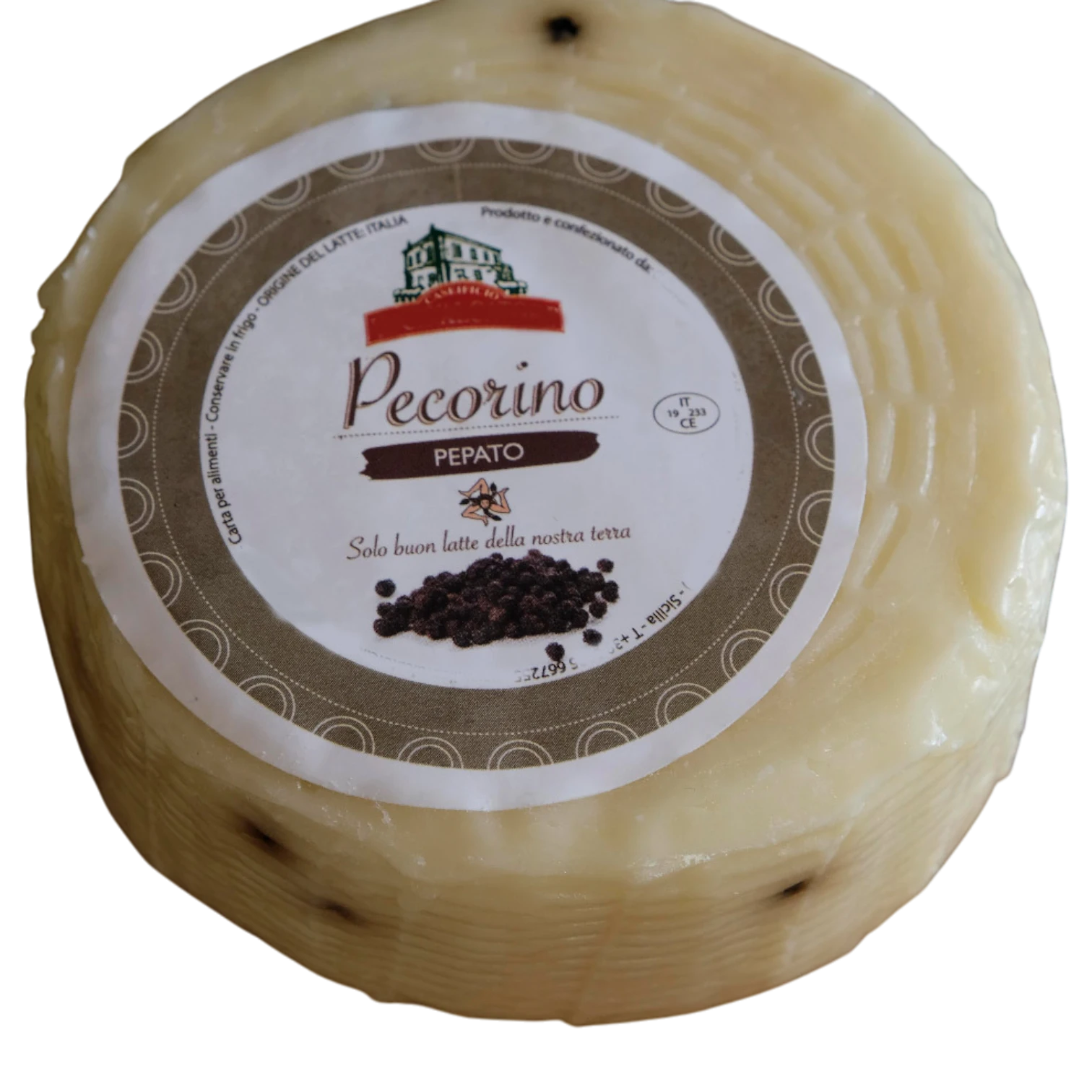 Pecorino sicilien au poivre première affinage